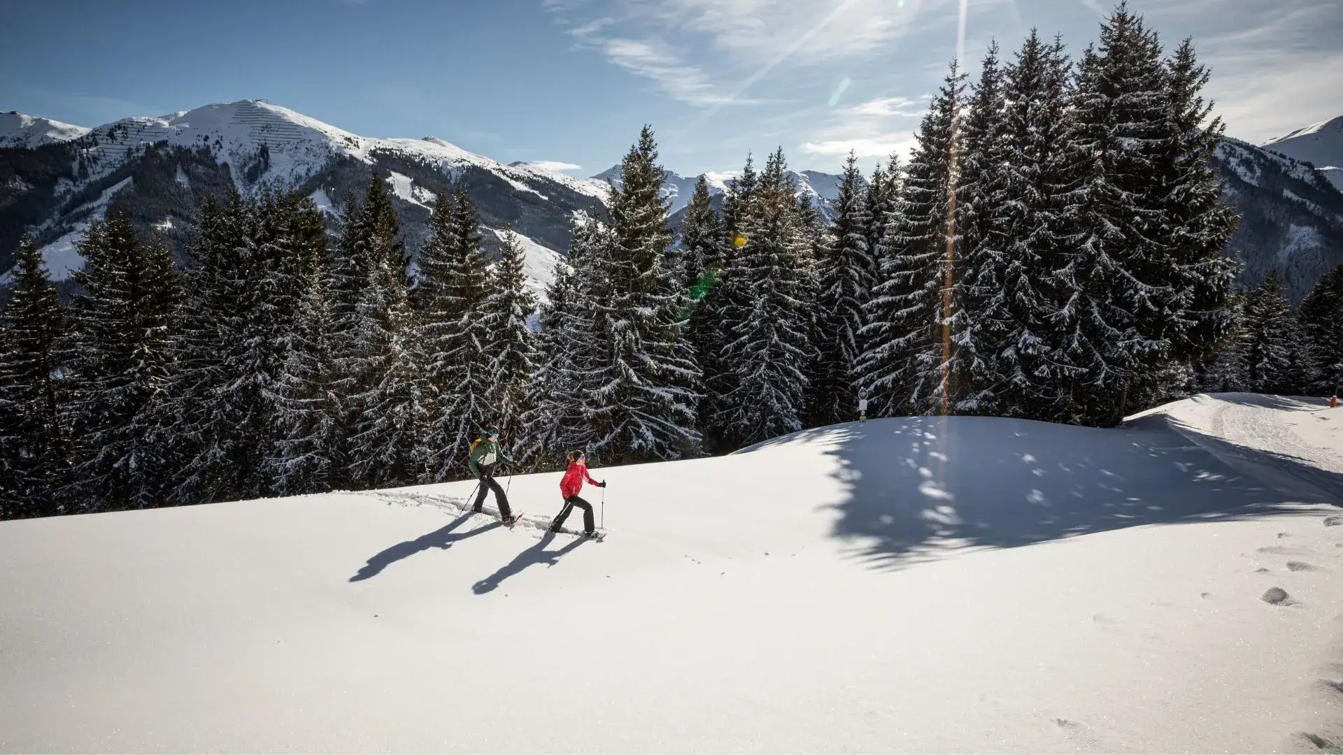ALM SEASONS Chalet in Saalbach