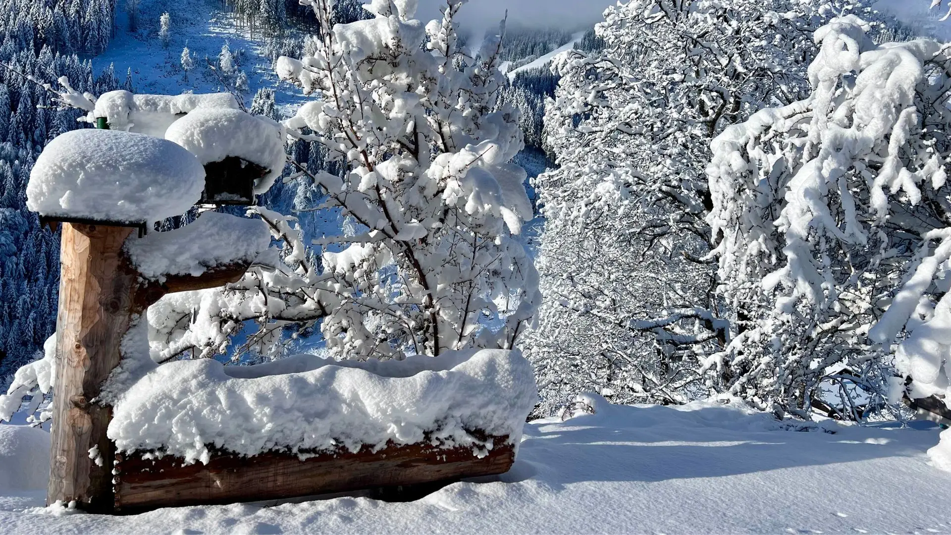 Wir sind mitten in der alpinen Bergwelt & Natur (2/4)