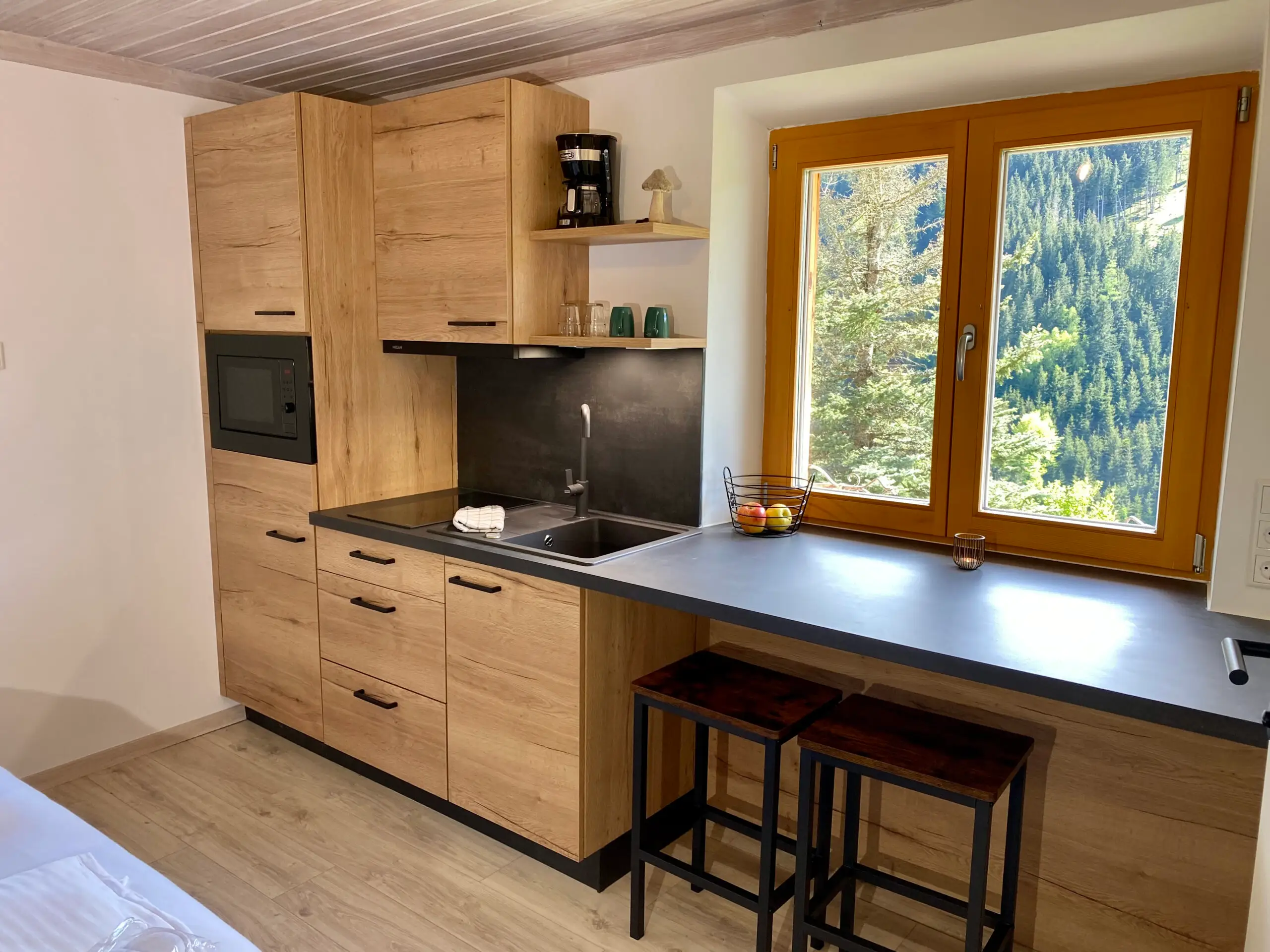 Chalet Studio 1 (3/4)